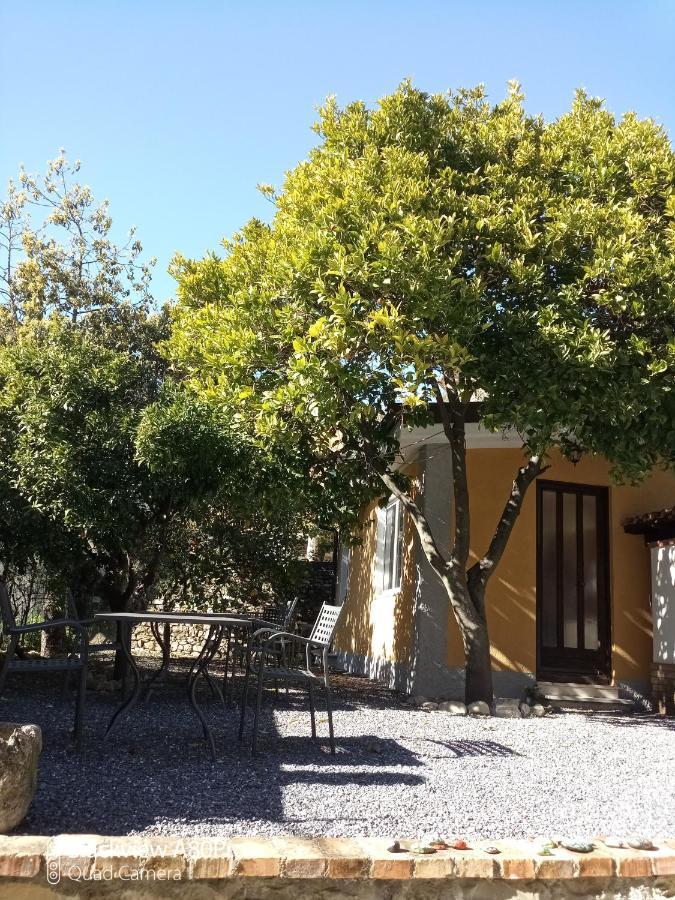 Agriturismo Ardissone Thomas Borganzo Exterior photo